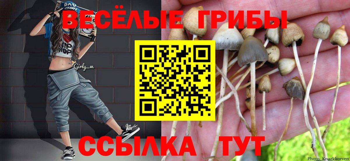 Галлюциногенные грибы ЛСД  Вход с VPN  Златоуст  Галлюциногенные грибы Magic Shrooms 